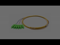 SC/APC 6 Core Bundle Fan-out Fiber Optic Pigtail Single Mode 9/125um Gele jas