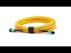 MPO/APC naar MPO/APC 12 Vezels Single Mode OS2 Jumper